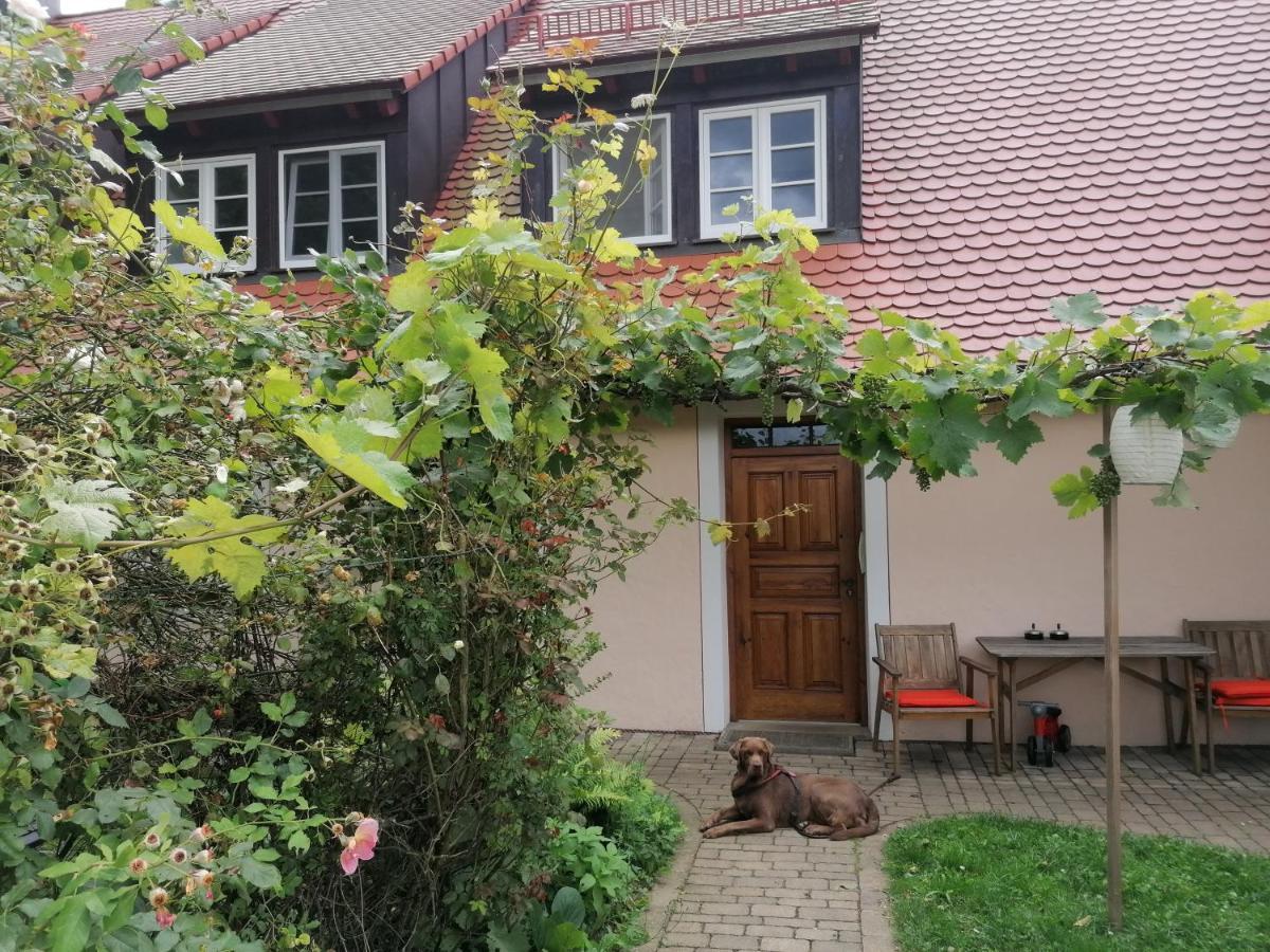 Ferienwohnungen Wastl Fraenkische Schweiz Hiltpoltstein Eksteriør bilde